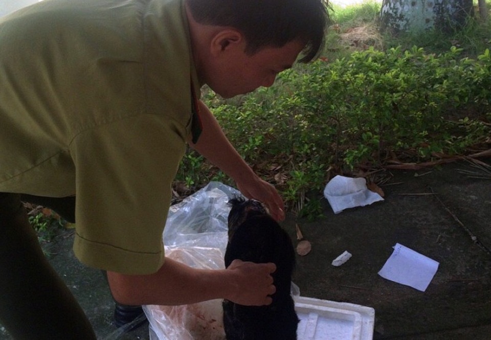 Xe khách vận chuyển 4 cá thể Voọc đen má trắng - 2 Lực lượng chức năng tiến hành kiểm tra