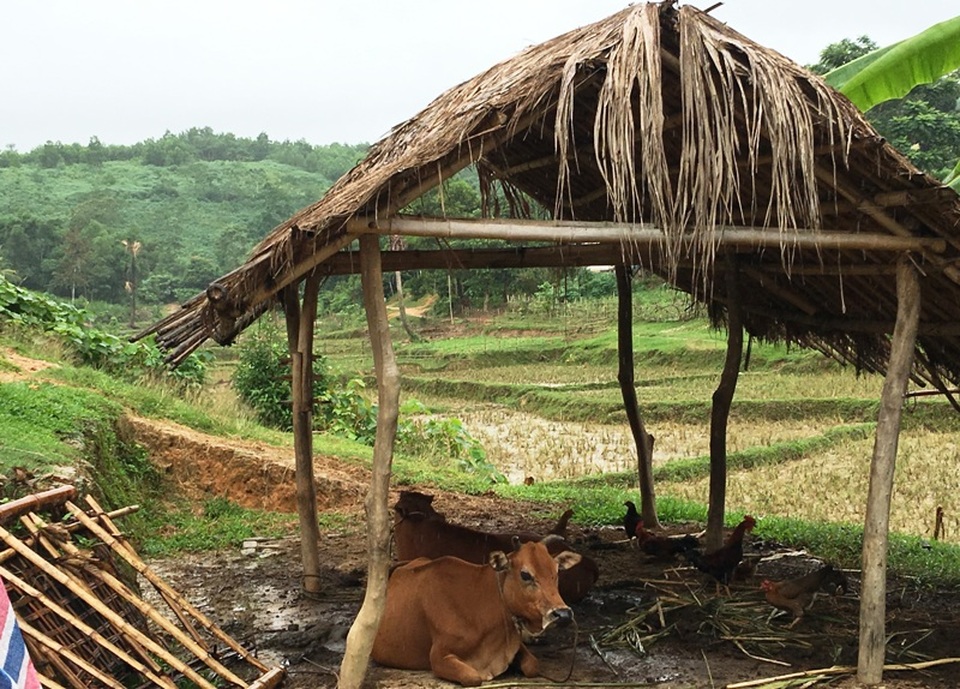 Đoàn thiện nguyện cũng hỗ trợ gia đình một con bò để có thêm kế sinh nhai