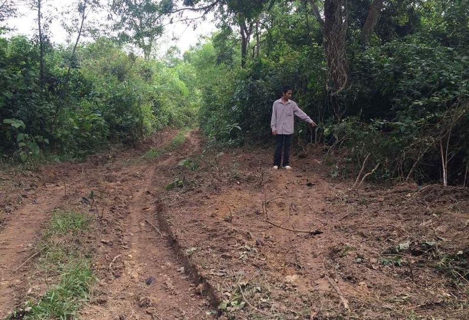 Dân phản đối việc khai thác đất trong khu bảo tồn thiên nhiên - 5 Một điểm trên lối vào khu vực múc đất được phát dọn cây cối hai bên