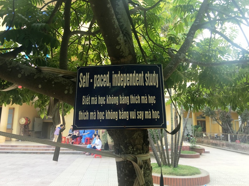 Độc đáo mô hình dạy tiếng Anh ở ngôi trường tiểu học xứ Thanh - 3 Những bảng song ngữ Anh - Việt về nhiều chủ đề được gắn ở các gốc cây