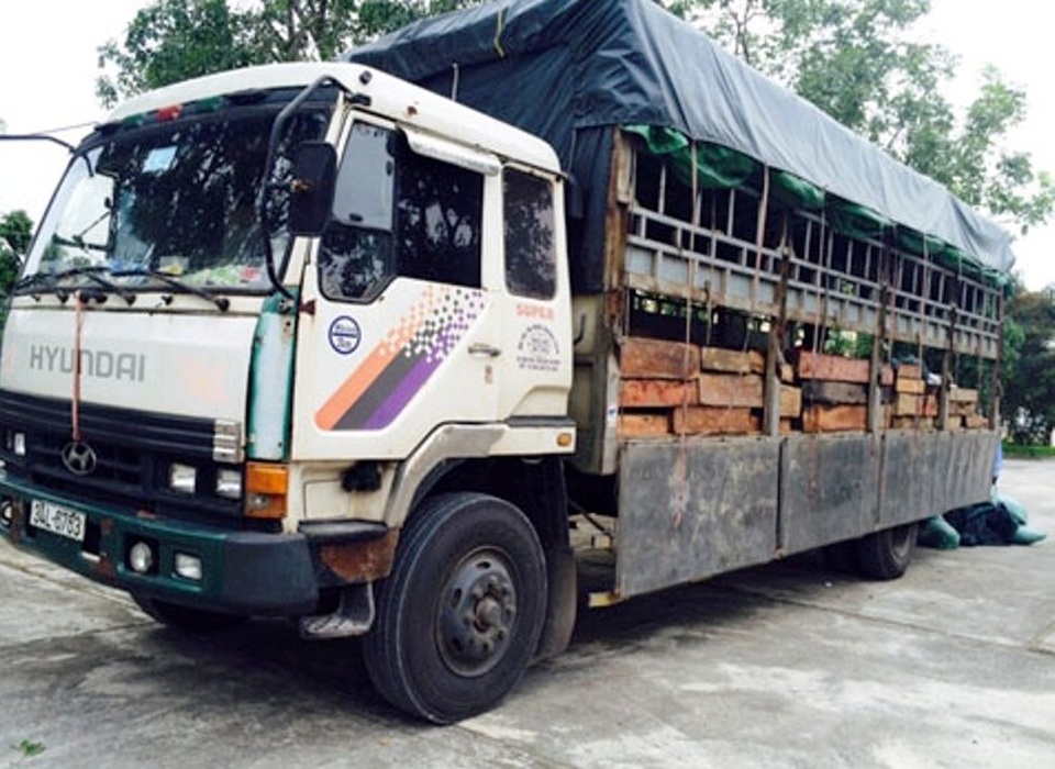 Phát hiện 2 vụ vận chuyển trái phép số lượng lớn gỗ quý - 2 Chiếc xe tải chở gỗ bị lực lượng CSGT phát hiện, bắt giữ