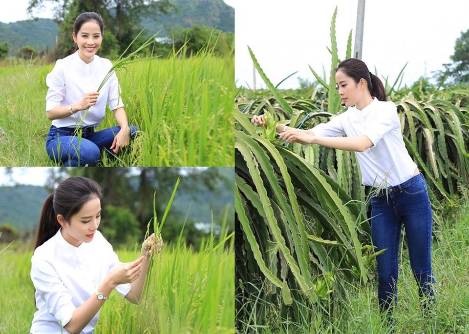 Nam Em kể sự cố mất váy dạ hội nghìn đô trước Miss Earth 2016 - 8 Các thí sinh cũng phải cập nhật hàng ngày những hành động bảo vệ môi trường thiết thực. Đây là hoạt động ý nghĩa và sẽ được BTC cộng điểm trong các phần thi.