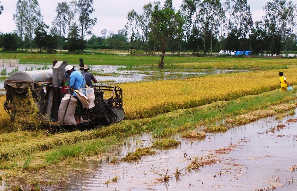 Chuyên gia lo ngại các nhà máy nhiệt điện "uy hiếp" vựa lúa ĐBSCL - 2 Hiện nay, ĐBSCL đang căng mình đối mặt với tình trạng hạn, mặn... Nếu thời gian tới bị tác động thêm những tác dụng phụ từ các Nhà máy nhiệt điện nữa sẽ là một thảm họa về môi trường cho ĐBSCL