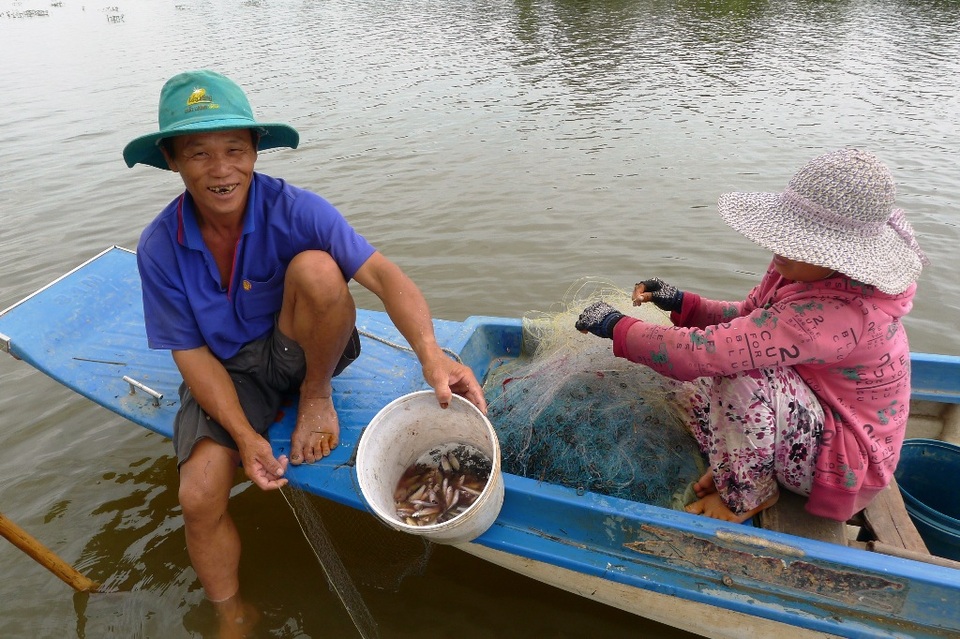 Hẩm hiu nghề câu lưới trong lũ muộn - 7 Vợ chồng ông Huỳnh Văn Nam giăng lưới cá linh cho biết, lũ muộn cá ít và giá cá linh cũng giảm hơn mọi năm gần một nửa. Hiện tại giá bán cá linh mồi (làm mắm hoặc cho cá lóc ăn) chỉ từ 5.000 - 6.000 đồng/1kg cá