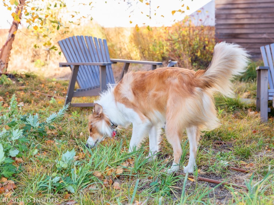 Khám phá bên trong văn phòng của các "ông lớn" công nghệ tại New York - 13