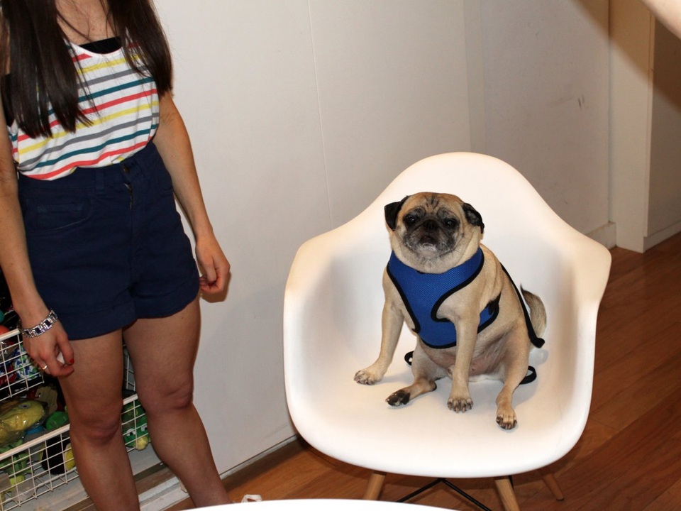 Khám phá bên trong văn phòng của các "ông lớn" công nghệ tại New York - 19