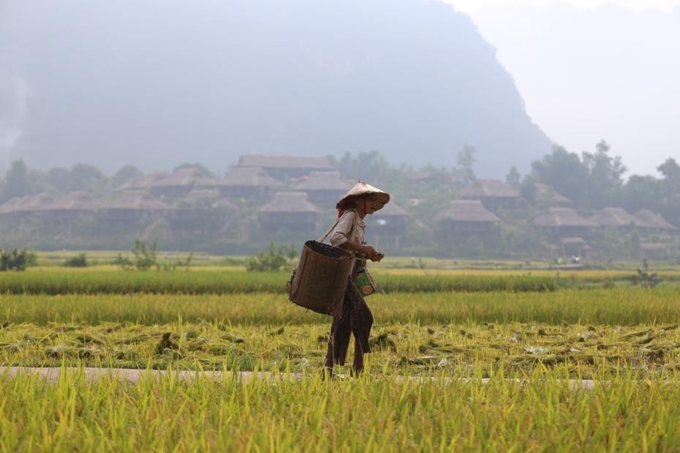 Mai Chau Ecolodge - Nghĩa cử đẹp, hành động ý nghĩa - 1 Mai Chau Ecolodge - Nghĩa cử đẹp, hành động ý nghĩa - 1