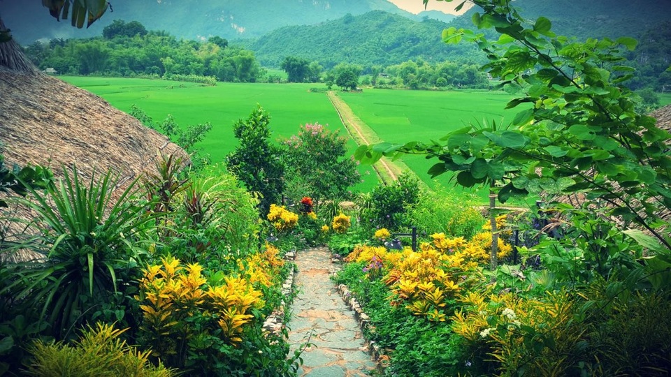 Mai Chau Ecolodge - Nghĩa cử đẹp, hành động ý nghĩa - 6 Mai Chau Ecolodge - Nghĩa cử đẹp, hành động ý nghĩa - 6