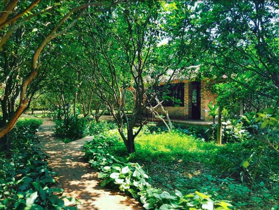 Hue Ecolodge - nơi nghỉ dưỡng tại Huế mà bạn nên trải nghiệm ngay - 2 Hue Ecolodge, nằm ở làng cổ Thủy Biều trong thành phố Huế, nơi có các căn bungalow mang một dấu ấn riêng đậm chất “mộc” với lối kiến trúc hài hoà duyên dáng. Còn gì tuyệt với hơn khi mỗi sáng thức dậy, bạn lại được đắm mình trong không gian hoàng hôn ngay bên bờ sông Hương thơ mộng. Rồi thong dong, tĩnh tâm ngồi nhâm nhi bên ly nước detox ngay giữa vườn hương thanh trà nồng nàn giữa môi trường sinh thái trong xanh