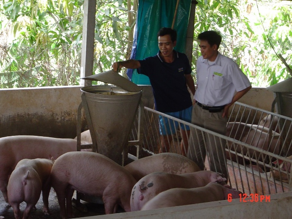 Thành công sau hơn 20 năm, tại sao cám Pháp lại quyết định thay đổi? - 1 Thành công sau hơn 20 năm, tại sao cám Pháp lại quyết định thay đổi? - 1