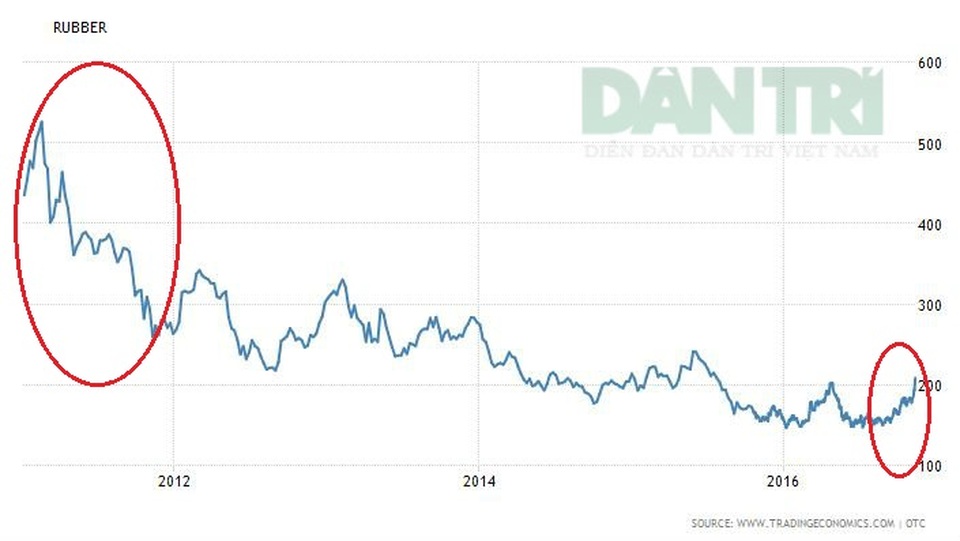 Diễn biến giá cao su trong 5 năm trở lại đây