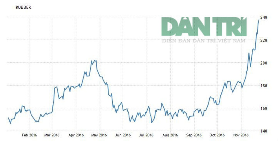 Diễn biến giá cao su từ đầu năm đến nay