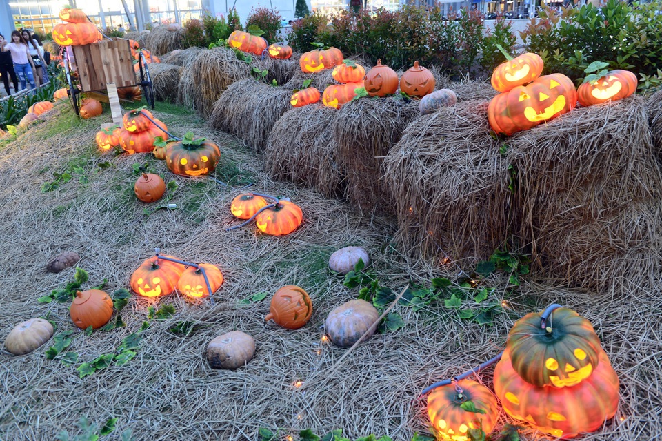 Những quả bí ngô được lắp đặt bóng đèn bên trong phát sáng vào ban đêm.