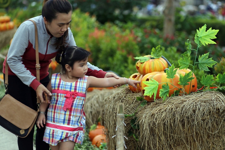 Một em nhỏ được phụ huynh dẫn đi tham quan khu vườn bí ngô.