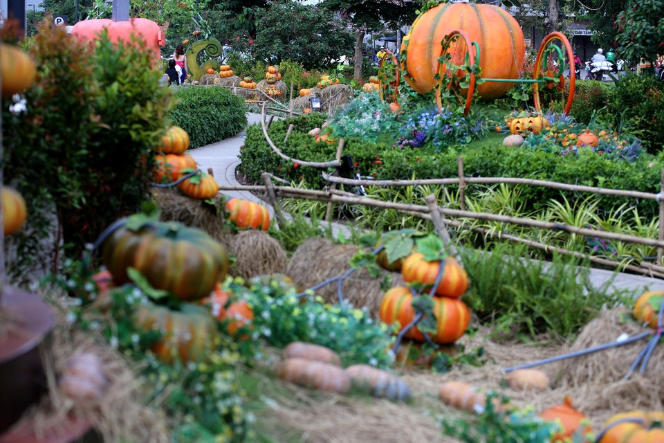 Khu vườn bí ngô với hàng trăm quả hình mặt cười được một trung tâm thương ở quận Bình Tân trưng bày cho mọi người tới tham quan.