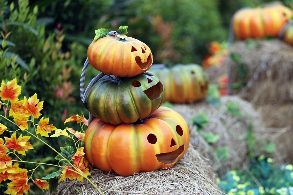 Những quả bí ngô được trang trí, nằm trải dài trên con đường đầy rơm giống như một ngôi làng bí ngô trong truyện tranh.