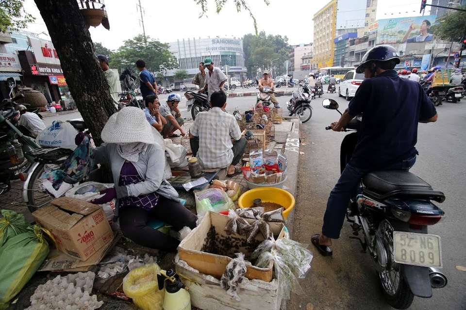 Chợ sâu bọ nằm bên hông Thuận Kiều Plaza, quận 5 là nơi buôn bán đủ các loại sâu bọ, cào cào, châu chấu... dành cho người nuôi chim, cá cảnh.