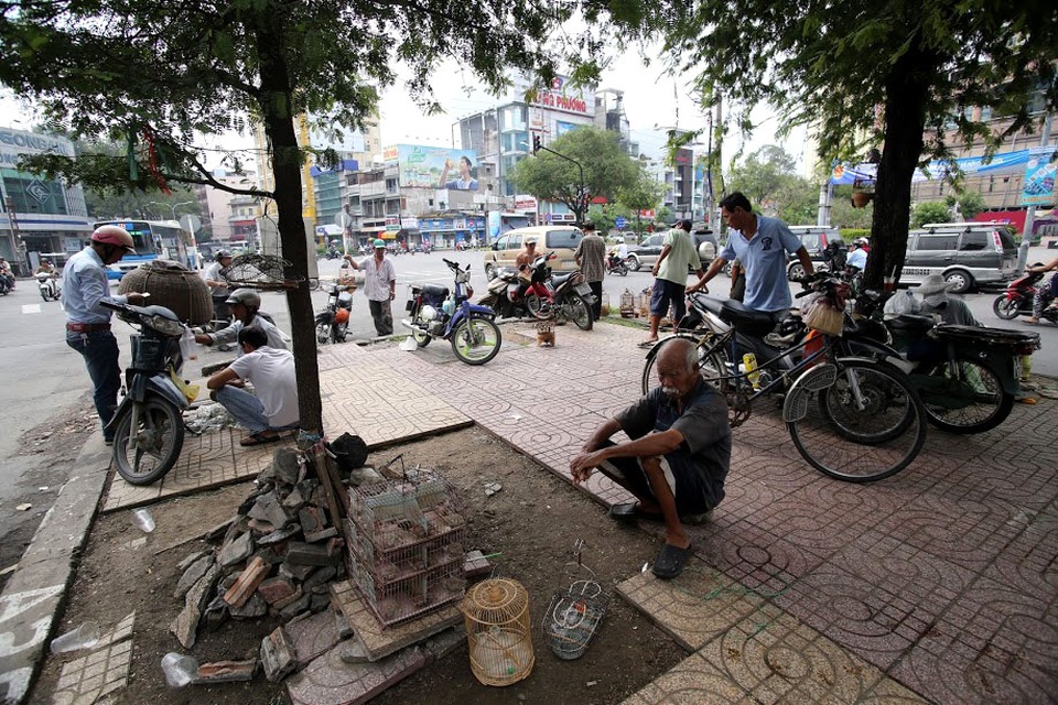 Hàng cung cấp cho chợ từ những vùng ven Sài Gòn như Hóc Môn, Bình Chánh, Củ Chi, nơi vẫn còn nhiều đồng ruộng cho sâu bọ sinh sống.