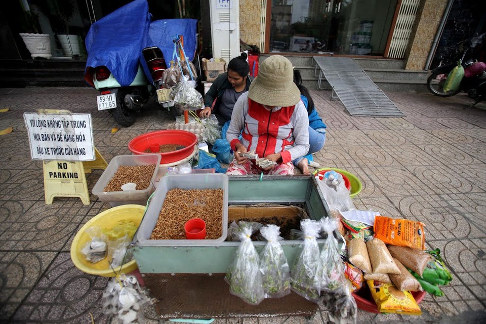 Ban đầu, khu vực này chỉ tập trung những người chơi chim, gà chọi. Sau đó, một số người mang sâu bọ ra bán và bắt đầu hình thành nên khu chợ. Bà Lành, người có thâm niên 20 năm bán sâu bọ cho biết.