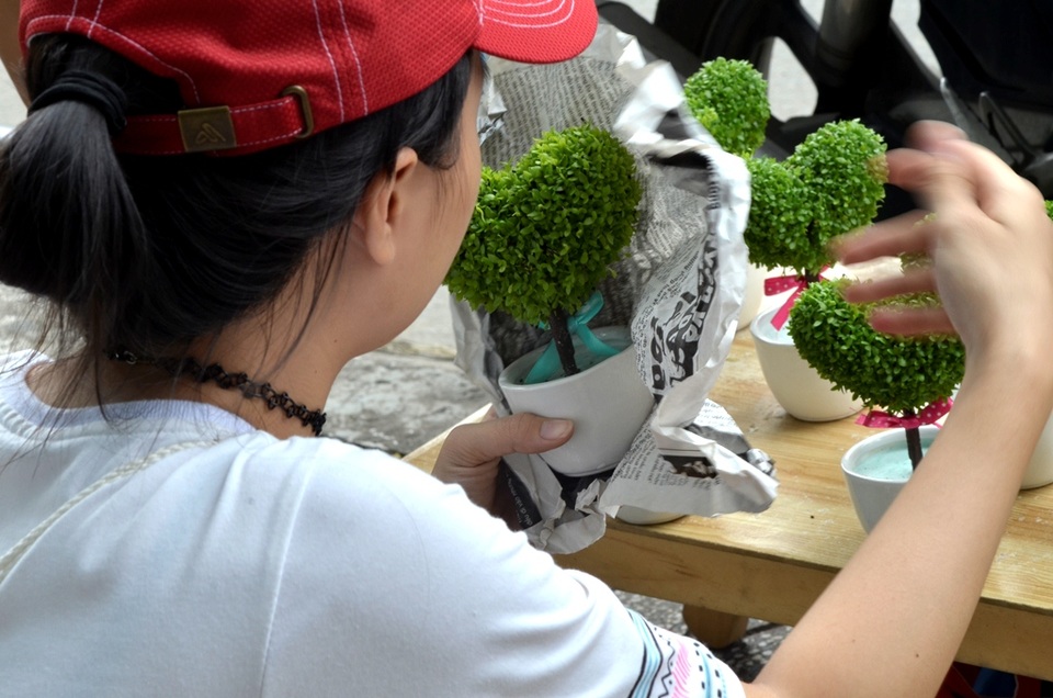 Loại cây này khá đặc biệt: Bầu trái tim chính là đất và sơ dừa, thân cây thực chất chỉ là trụ đỡ, khi tưới nước thì hướng ngược cây xuống và nhún vào nước, nếu xịt cỏ sẽ dễ bong ra…