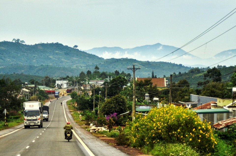 
Hai bên là hoa Dã quỳ, trước mặt là những dãy núi mờ ảo trong sương. Tầm tháng 11 hàng năm, rất nhiều người yêu hoa tìm về Đà Lạt để thưởng hoa Dã quỳ.
