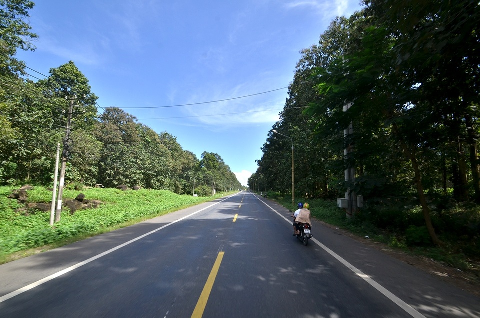 Đoạn qua khu rừng cây Giá tỵ, loại gỗ dùng trong ngành công nghiệp cần độ chính xác cao: làm bán súng, gỗ công nghiệp, trang trí..do thân cây nhẹ, nhiều sớ, ít bị co giãn. Mang trong mình vẻ đẹp khỏe khoắn, cây Giá tỵ vươn thẳng mạnh mẽ tràn đầy năng lượng cùng màu xanh bắt mắt nơi những chiếc lá thuôn bầu bản lớn. Vì thế, bên cạnh những hiệu quả kinh tế, cây Giá tỵ còn được biết đến là cây công trình, cây bóng mát, cây trang trí sân vườn đẹp...