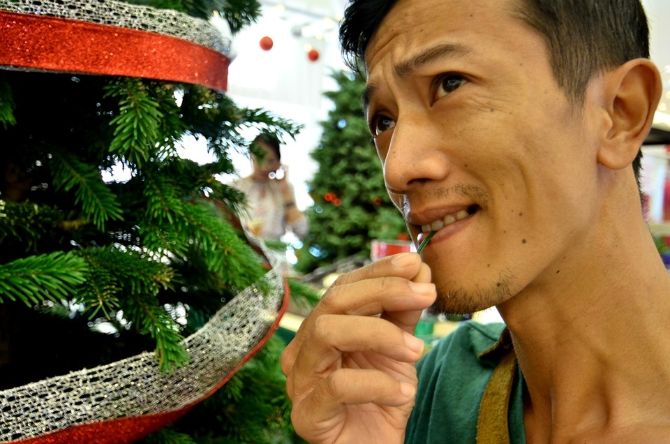 Độc đáo cây thông Noel thật được nhập về từ Mỹ - 10 Vị khách này sau khi “nhăm nhăm” lá thông thì ngạc nhiên: “Ngộ hé, lá thông thật nó chua chua!”