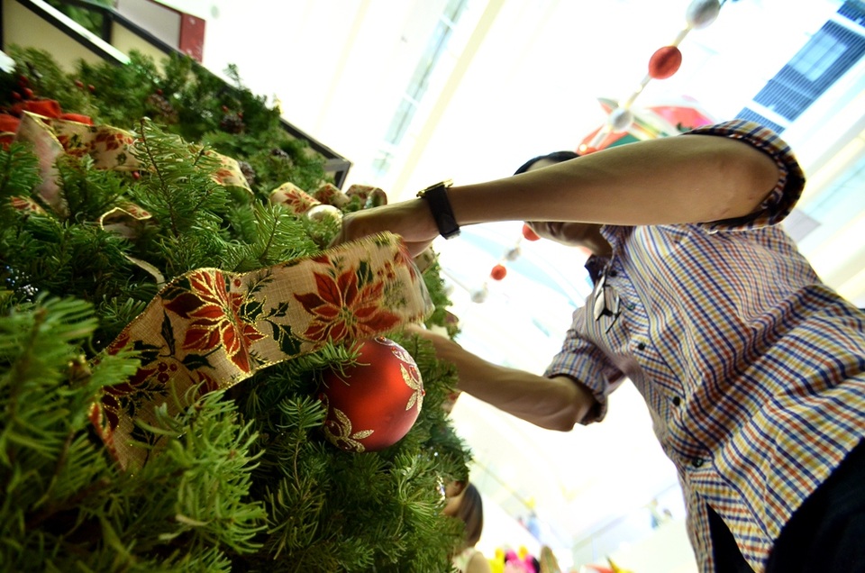 Độc đáo cây thông Noel thật được nhập về từ Mỹ - 11 Hiện nay, nếu khách hàng mua sản phẩm này thì cần phải đầu tư thêm khoảng 1,5 triệu để mua đồ trang trí.