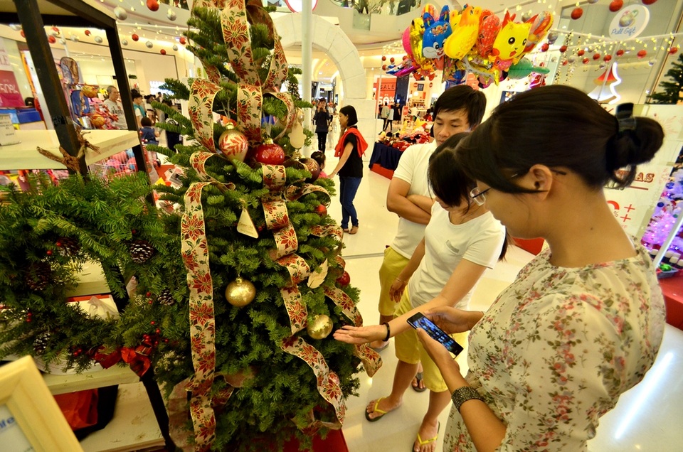 Độc đáo cây thông Noel thật được nhập về từ Mỹ - 12 Cây chưng trong nhà thì có giá khoảng từ 3 đến 9 triệu.