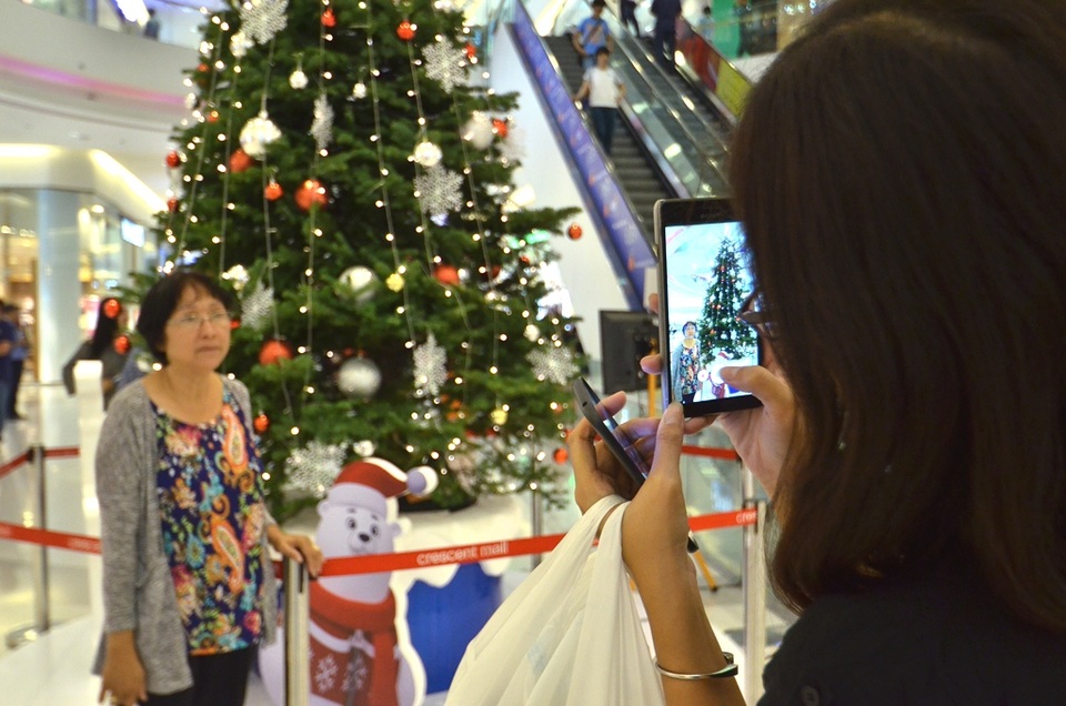 Độc đáo cây thông Noel thật được nhập về từ Mỹ - 14 Sản phẩm cây thông thật năm nay đã làm cho món ăn tinh thần của người dân thành phố trở nên thú vị hơn.