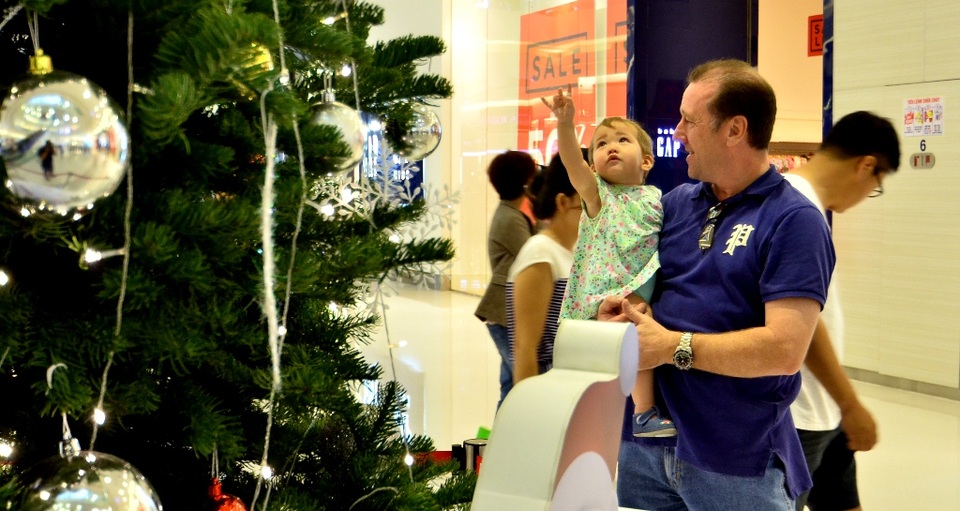 Độc đáo cây thông Noel thật được nhập về từ Mỹ - 2 Ban đầu, đối tượng khách được nhắm đến là người nước ngoài đang sinh sống và làm việc tại Việt Nam.