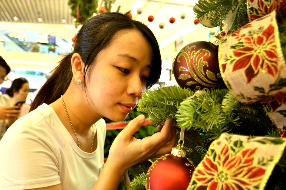 Độc đáo cây thông Noel thật được nhập về từ Mỹ - 4 Chị Phương Thủy (quận 8, TPHCM) chia sẻ: “Cây thông khá thơm, sờ vào có cảm giác cứng cáp và rất mát. Thường cây sẽ mang đến sinh khí nên mình rất thích.”