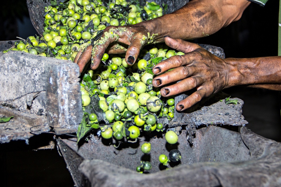 Công Trí kể câu chuyện “huyền thoại” về loại vải thượng hạng của Việt Nam - 3 Trái mặc nưa - loại quả đặc biệt sử dụng để nhuộm lãnh Mỹ A.
