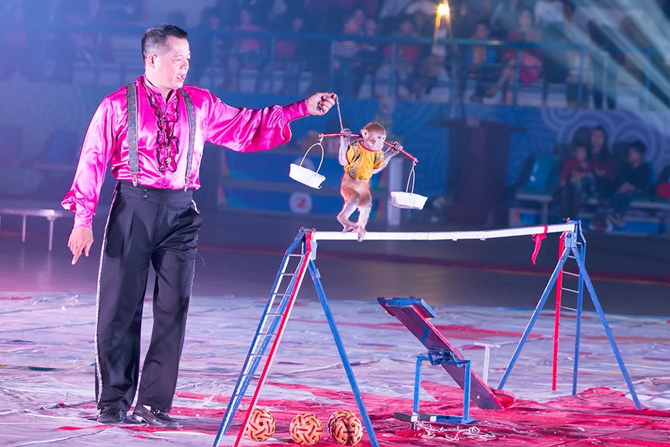 Nhói lòng trước cảnh bệnh nhi hiểm nghèo bịt khẩu trang đi xem xiếc - 6 Nhói lòng trước cảnh bệnh nhi hiểm nghèo bịt khẩu trang đi xem xiếc - 6