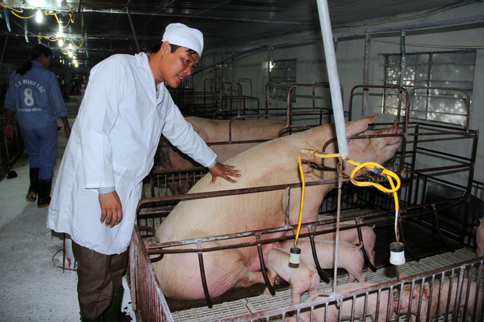 Từ tay trắng sở hữu trang trại cho thu nhập tiền tỷ - 1 Từ tay trắng sở hữu trang trại cho thu nhập tiền tỷ - 1