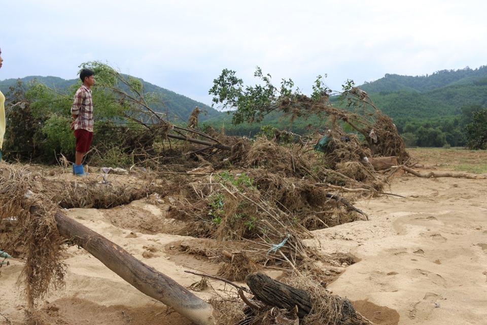 
Với 120 gốc bưởi trồng trên diện tích 5 sào, vừa qua gia đình anh Hoàng Hùng (47 tuổi) trú tại thôn Phú Lễ, xã Hương Trạch mới thu hoạch được một đợt với số tiền gần 80 triệu đồng, tính ra với số tiền này anh chưa có tiền lãi. Anh đang dự tính còn hơn 1 nửa diện tích chưa thu hoạch là tiền lãi là khoản thu nhập gia đình cả năm, thế nhưng trong phút chốc cả 5 sào bưởi của gia đình anh chỉ còn sót lại đúng 2 gốc.
