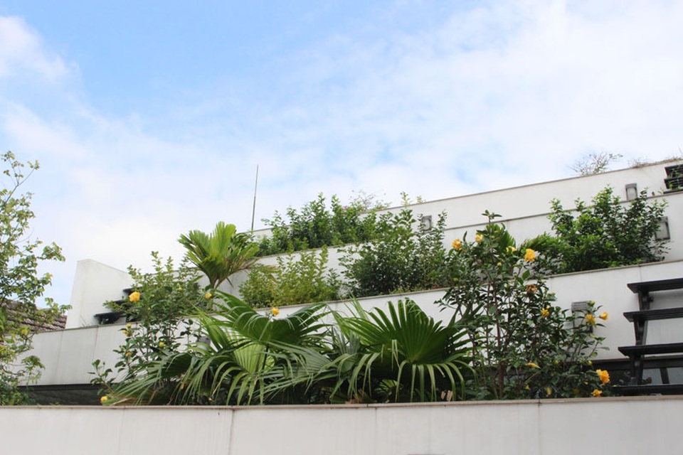 Để có khu vườn trên mái, gia chủ đã phải vận chuyển hơn 10 khối đất lên mái nhà phủ đầy các khuôn viên trồng cây.