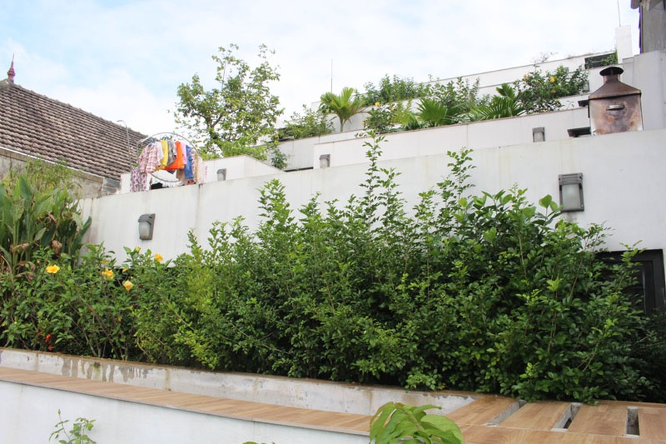 Việc tận dụng không gian trên mái giúp gia chủ có thêm các nguồn rau sạch, rau thơm... như các khu vườn của các gia đình khác.