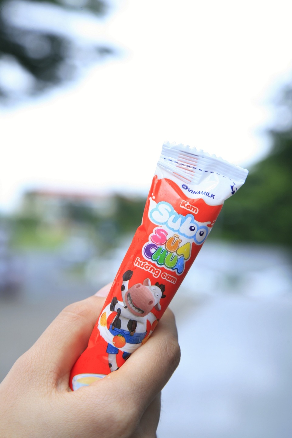 Giải đáp tò mò: Vì sao kem sữa chua là “hiện tượng” trong giới học trò? - 2 Giải đáp tò mò: Vì sao kem sữa chua là “hiện tượng” trong giới học trò? - 2