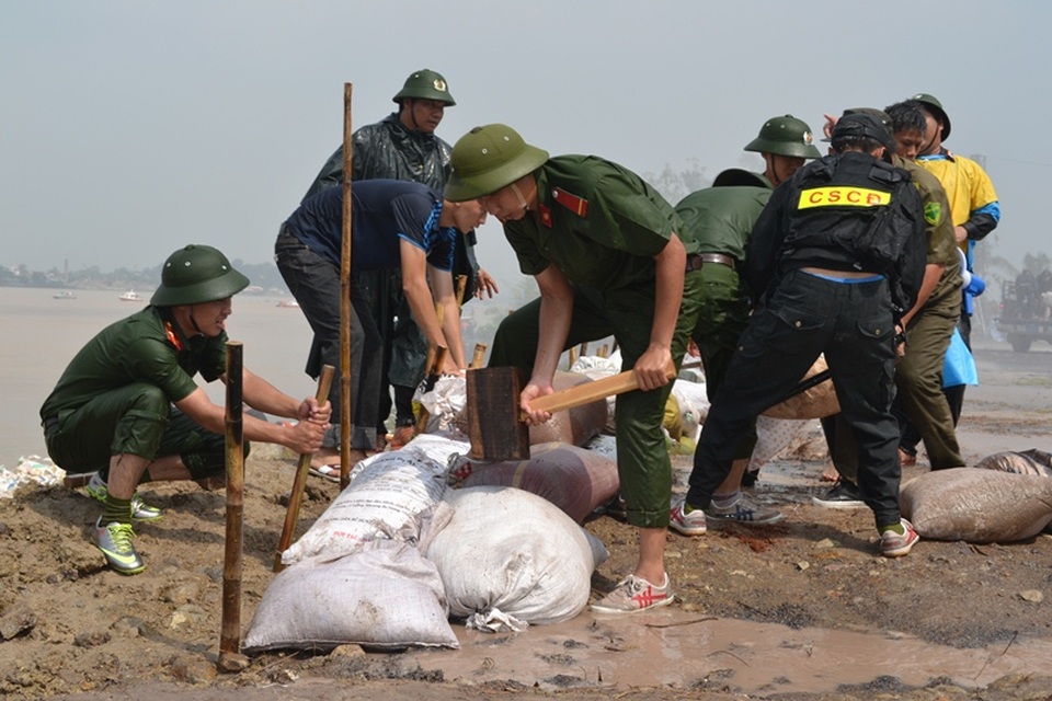 Các chiến sĩ cảnh sát cơ động tiến hành đóng cọc tre, đặt bao cát gia cường ngăn lũ.