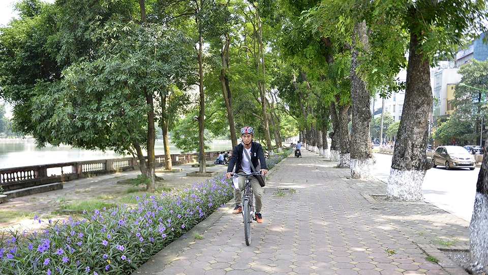 
Tại vườn ươm, dự kiến cây sẽ được chăm sóc từ 6 tháng đến 1 năm. Nếu còn sống, cây sẽ lại được chuyển về trồng trên một số tuyến đường ở Hà Nội.
