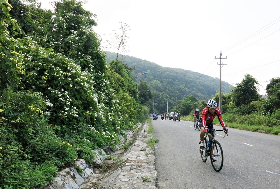 Nhiều tour đi về trong ngày tham quan các điểm đến nổi tiếng ở Đà Nẵng và vùng lân cận hấp dẫn du khách dịp ABG 5