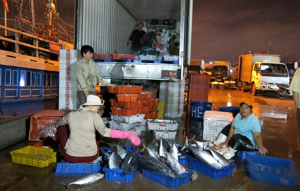 Những đêm trắng của những người phụ nữ mưu sinh ở cảng cá