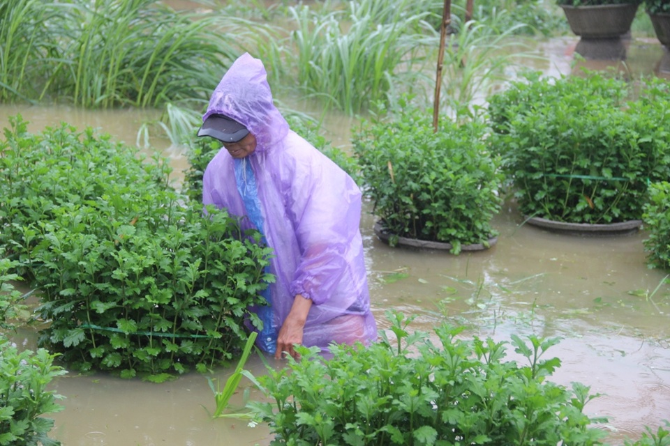 Mưa lớn liên tiếp nhiều ngày đã khiến một số nơi trong tỉnh Quảng Ngãi bị ngập cục bộ
