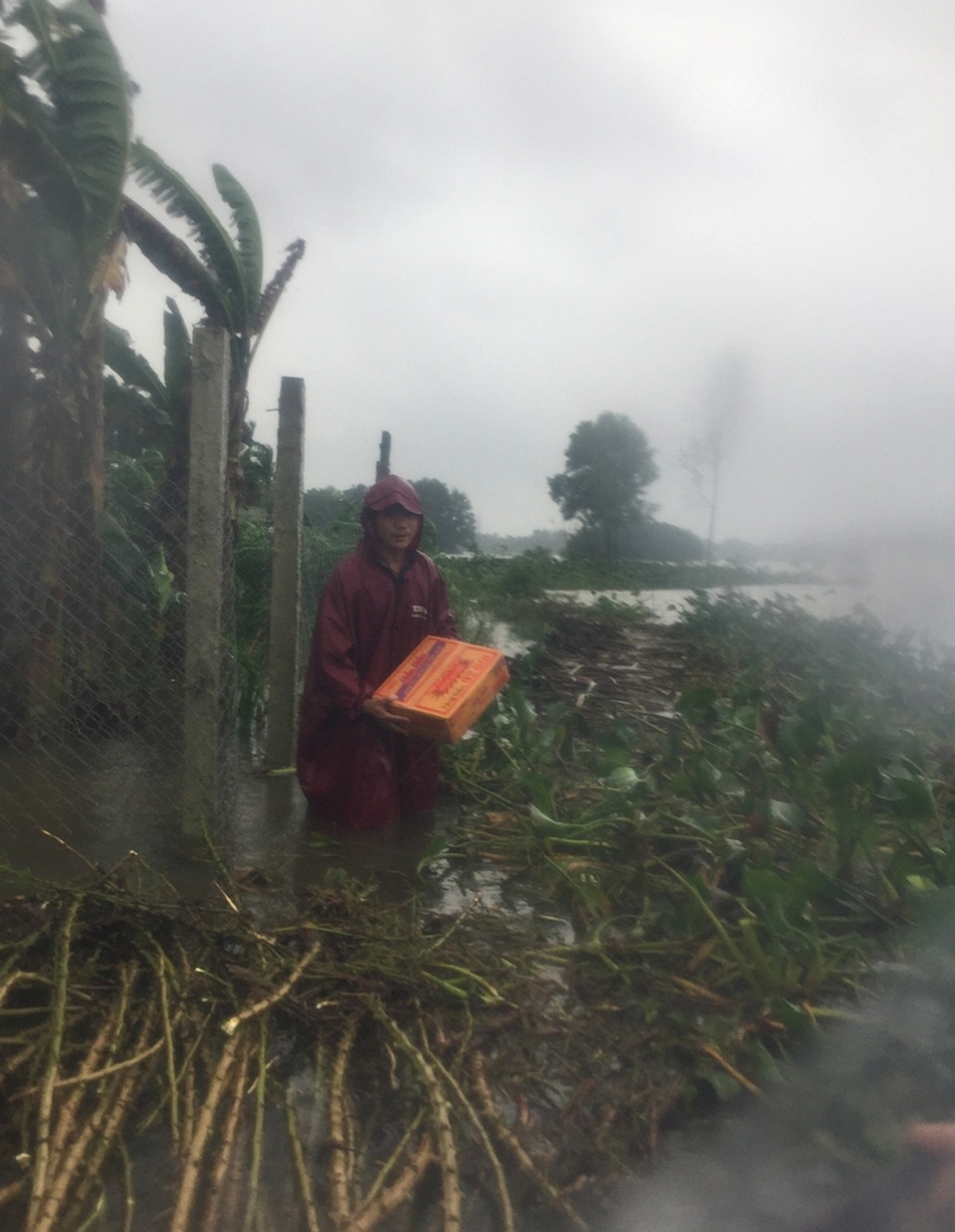 
Nhà dân trong thôn Điền An đắp nền cao, nhà không ngập sâu nhưng bốn bề nước lũ bao vây nên nội bất xuất, ngoại bất nhập nếu không có ghe thuyền
