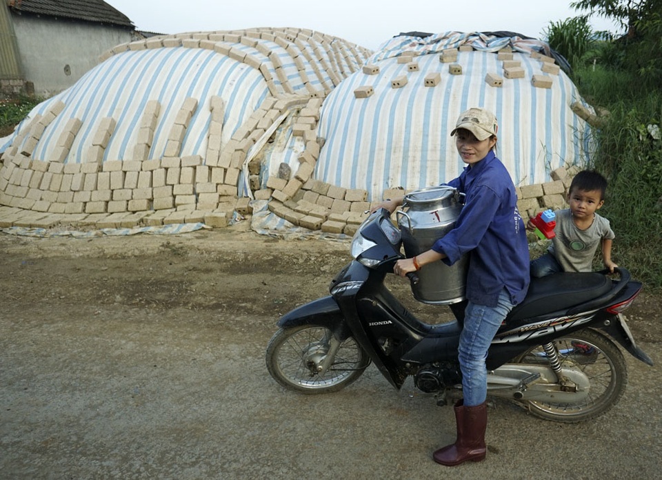 
Ngoài vẻ đẹp thiên nhiên trời phú, thị trấn Mộc Châu còn được biết đến là mảnh đất với rất nhiều tỷ phú đi lên từ chăn nuôi. Một lợi thế cho người nuôi bò sữa Mộc Châu là không bao giờ phải lo đầu ra cho sảm phẩm (sữa bò) vì đã được Công ty Cổ phần giống bò sữa Mộc Châu bao thầu toàn bộ.
