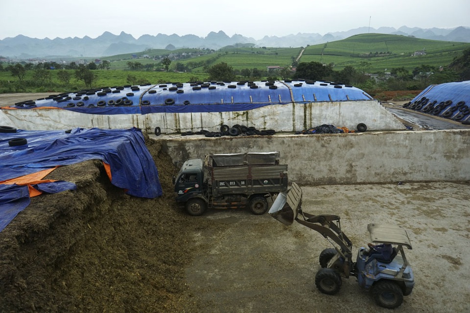 Một buổi sáng sớm mùa thu trên thảo nguyên Mộc Châu.