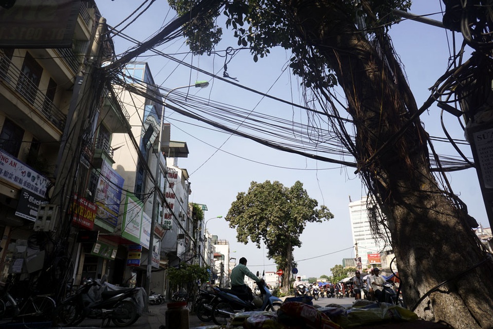 Hà Nội: Cây giữa đường, đường né cây vì "tâm linh" - 3 Đoạn đường này có 3 cây đa đứng gần sát nhau, với 2 cây giữa đường và một cây ven đường. Đây là đoạn giao với dốc Tam Đa nên người dân vẫn coi 3 cây đa này như một trùng hợp ngẫu nhiên thú vị với tên Tam Đa.