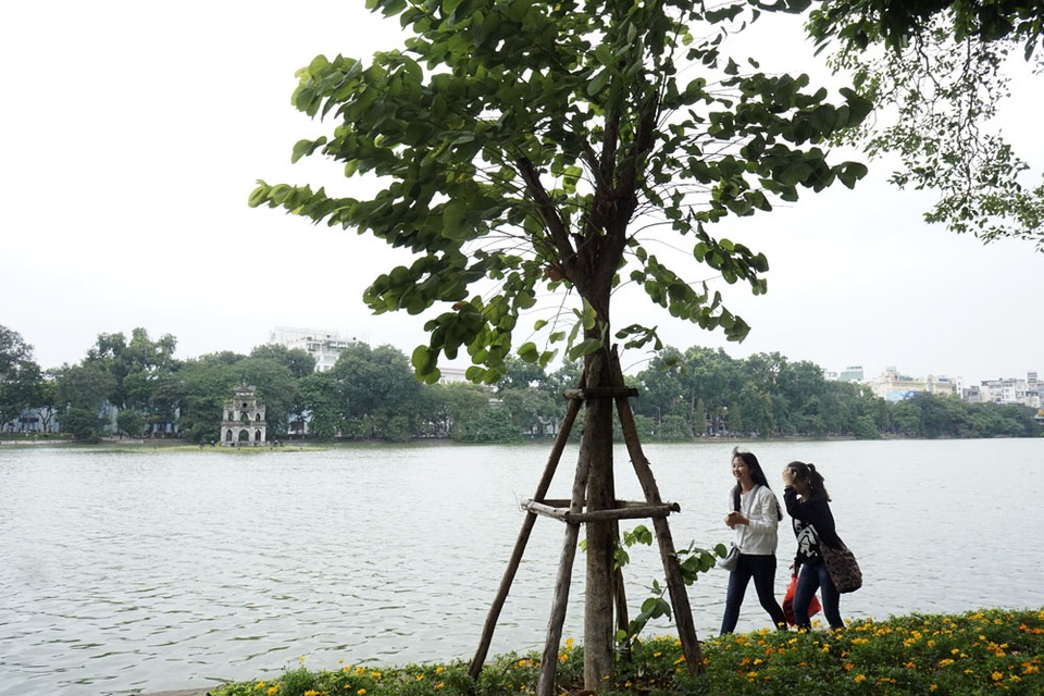 Hà Nội chuyển lạnh đầu đông - 8
Thời tiết lạnh nhưng lượng người đổ về không gian đi bộ quanh hồ Hoàn Kiếm vẫn rất đông.