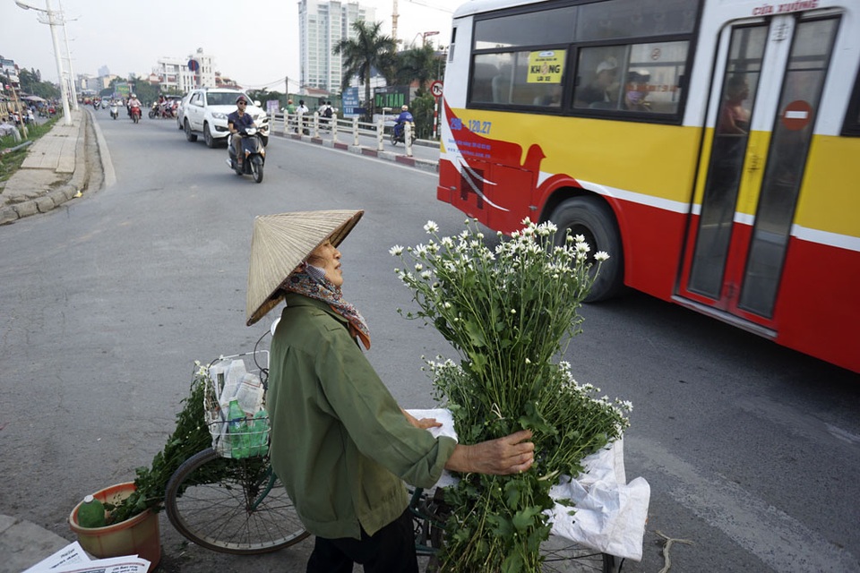 Hà Nội: Tinh khôi mùa hoa cúc họa mi - 15 Cúc họa mi được bán lẻ trên đường phố.